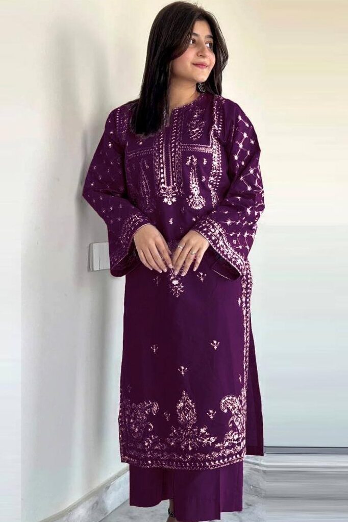 Dhanak Embroidered Winter 2 Piece Dress - J0975